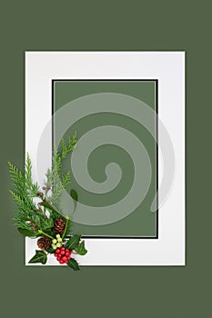 Traditional Christmas Background Frame with Winter Holly and Flora