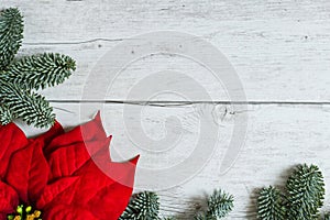 Traditional Christmas background with Poinsettia flower