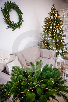 Traditional Christmas decorations. Christmas tree.