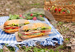 Traditional ciabatta bread sandwich lifestyle picnic lunch with vegetables