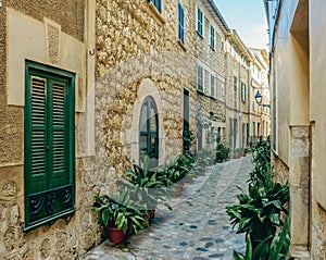 Traditional Cobblestone Alley in Soller, Mallorca with Lush Green Plants