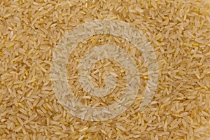 Close-up of raw yellow rice grains photo