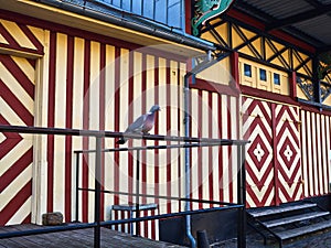 Traditional colorful front door Denmark