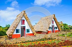 Traditional colorful houses in Santana, Madeira, Portugal. Small, wooden, triangular houses with thatched roof represent a part of