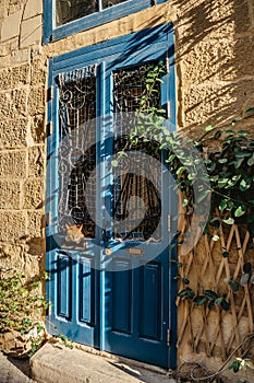 Traditional colorful Maltese door in Valletta,brown cat looking outside.Front door to house from Malta.Blue turquoise wooden door