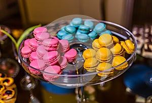 Traditional colors french macarons for party