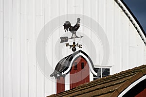 Traditional coper rooster weathervane on a classic red barn cupola, larger white barn in background