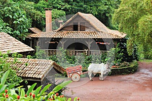 Traditional Costa Rican Home