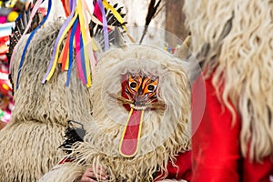 Traditional costume from annual Cerknica carnival in Slovenia