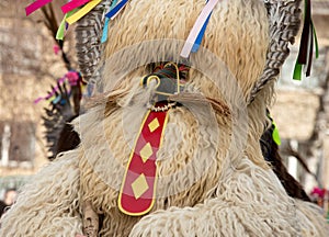 Traditional costume from annual Cerknica carnival in Slovenia