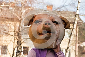 Traditional costume from annual Cerknica carnival in Slovenia