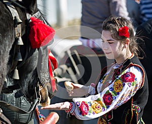 Traditional costume and horse