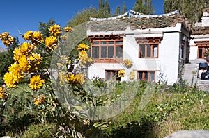 Traditional countryside tibetian house, Ladakh, India