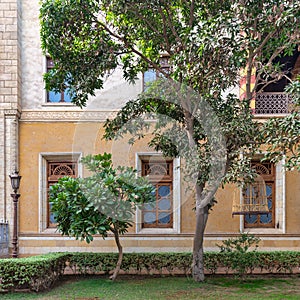 Traditional Courtyard With Lush Greenery and Ornate Windows