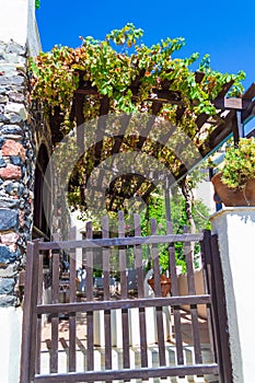 Traditional cozy patio entrance with vines Fira Santorini Greece