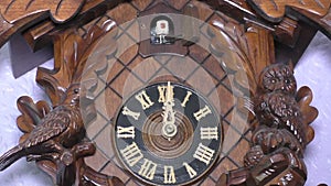 Traditional Cuckoo Clock