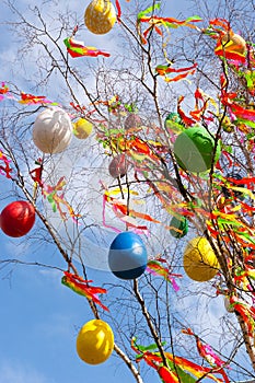 Traditional Czech easter decoration - decorated birch tree Betula pendula with colorful ribbons and painted eggs - rural symbol