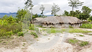 Traditional Dani village in Papua New Guinea, Indonesia.