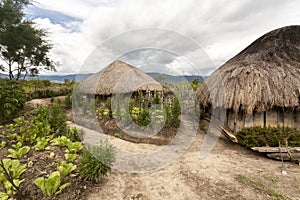 Traditional Dani village in Papua New Guinea, Wamena, Indonesia