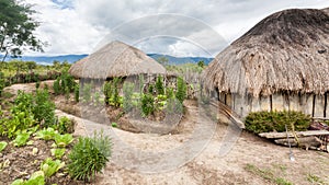 Traditional Dani village in Papua New Guinea, Wamena, Indonesia.