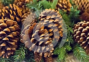 Traditional decoration of the Christmas decorations of the new year a large fir cone on the background