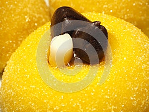 Traditional dessert of Bergamo: sweetened polenta and chocolate birds