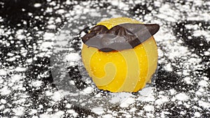 Traditional dessert of the town of Bergamo, Italy. Sweetened polenta and chocolate birds. Delicious cake