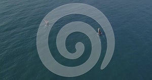 Traditional dhow saildboat in the sea