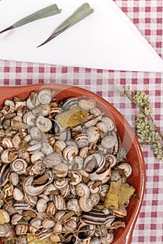 Traditional dish of cooked snails