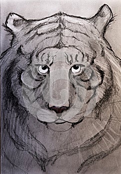 Traditional drawing of a tiger (tigress), en face.