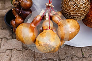 Tradizionale essiccato una bottiglia zucca 