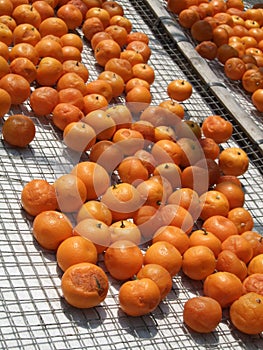 Traditional dried food preparation:DryingMandarin