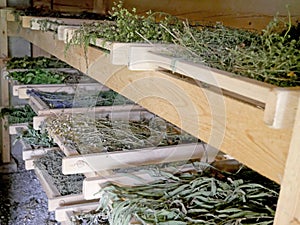 Traditional dryer for drying herbs and spices. photo