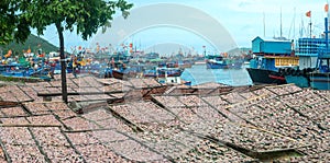 Traditional drying of salted fish on racks against backdrop of many fishing boats. Near Nha Trang city, Vietnam.