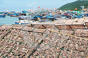 Traditional drying of salted fish on the racks against background of many fishing boats. Near Nha Trang city, Vietnam.