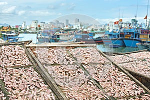 Traditional drying squid on racks against background of many fishing boats and city of Nha Trang, Vietnam.