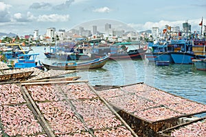 Traditional drying squid on racks against background of many fishing boats and city of Nha Trang, Vietnam.