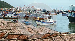 Traditional drying squid on racks against background of many fishing boats, Vietnam.