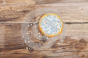 Traditional Dutch birth celebration biscuit with blue muisjes