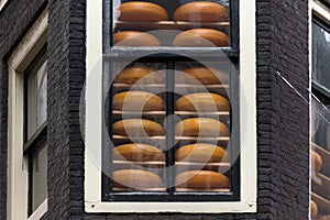 Traditional Dutch cheese on display