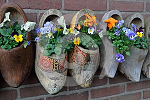 Traditional dutch clogs klompen wooden shoes as very colorful flower pots on brick wall background.