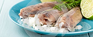 Traditional dutch food herring fish