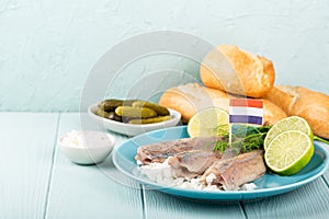 Traditional dutch food herring fish