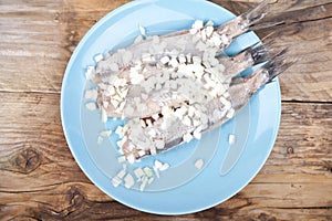 Traditional Dutch raw herring with onions on plate