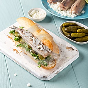 Traditional dutch snack, seafood sandwich with herring