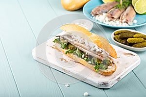 Traditional dutch snack, seafood sandwich with herring