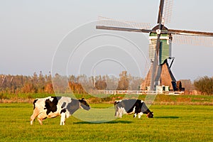 Traditional Dutch windmill
