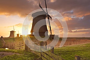 Traditional Dutch windmills at sunrise