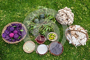 Traditional dyes peruvian Andes Cuzco Peru photo