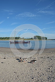 Traditional Eel Fishing Boat at Rhine River,Monheim am Rhein,Germany